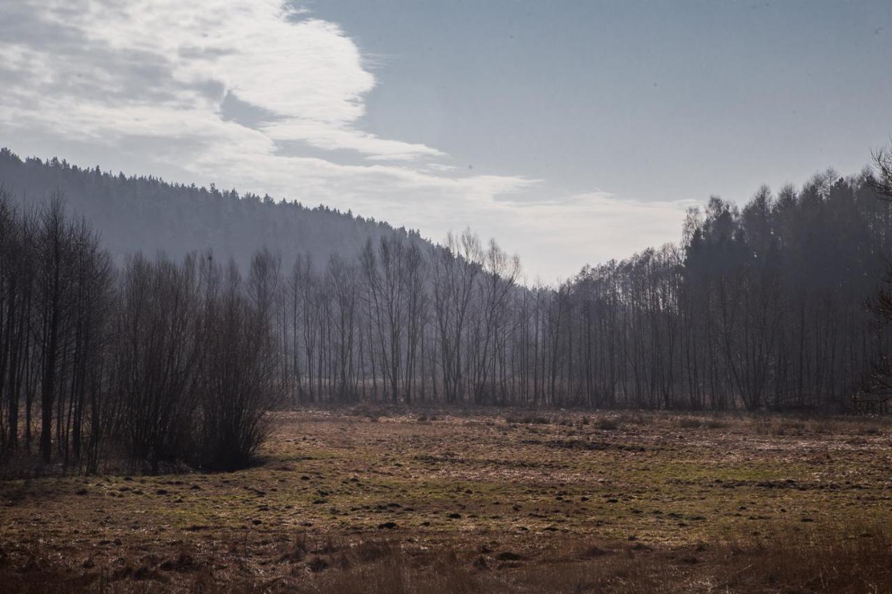 Domki Przystanek Drzewina Esterno foto